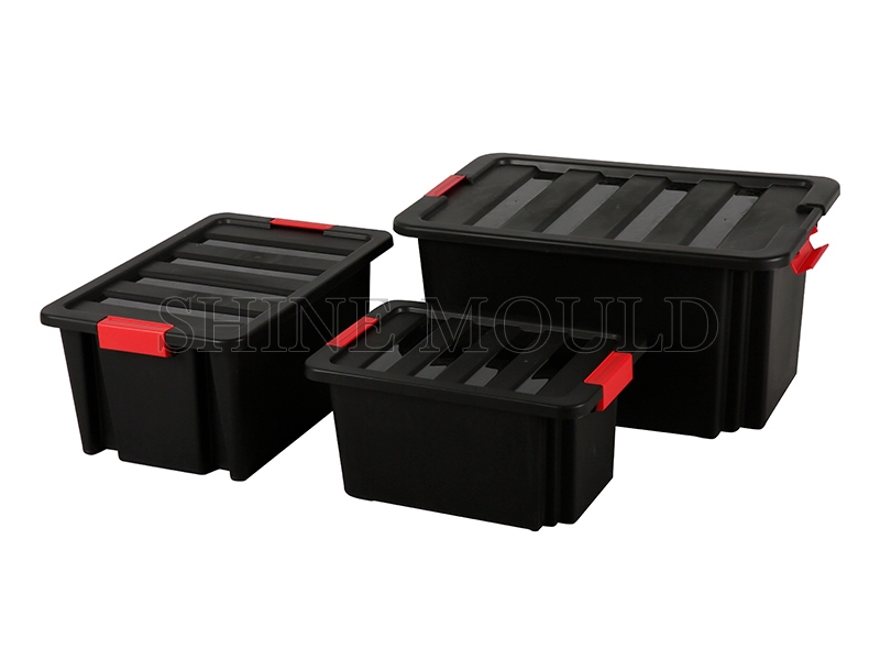 Living Box Mould