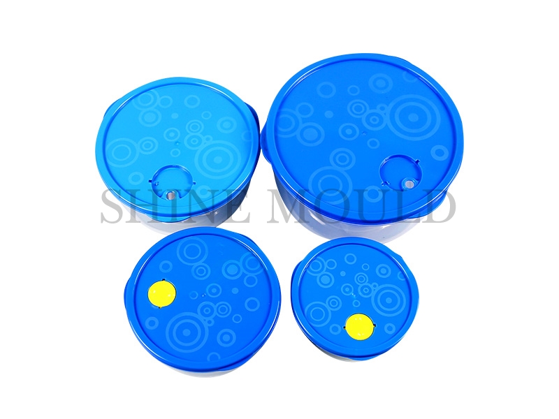 Blue Food Keeper mould
