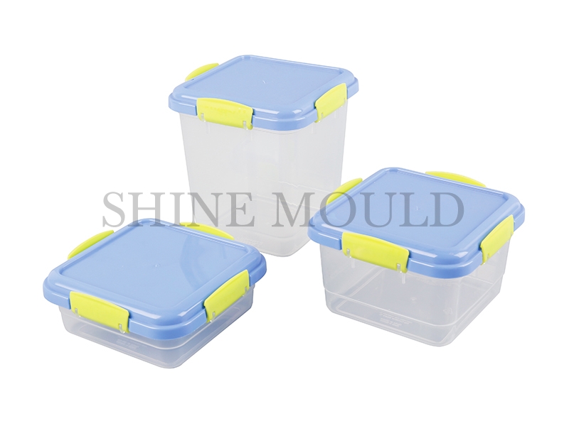 Sky Blue Food Keeper mould